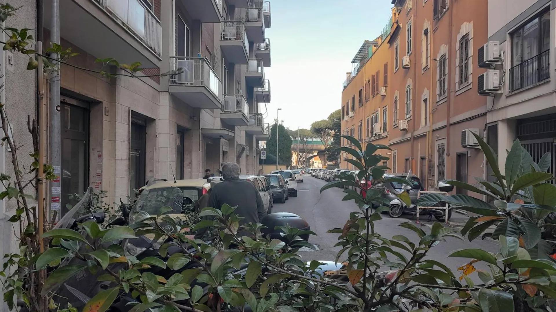 Domus Gelsomino Apartment Rome 0*,  Italy