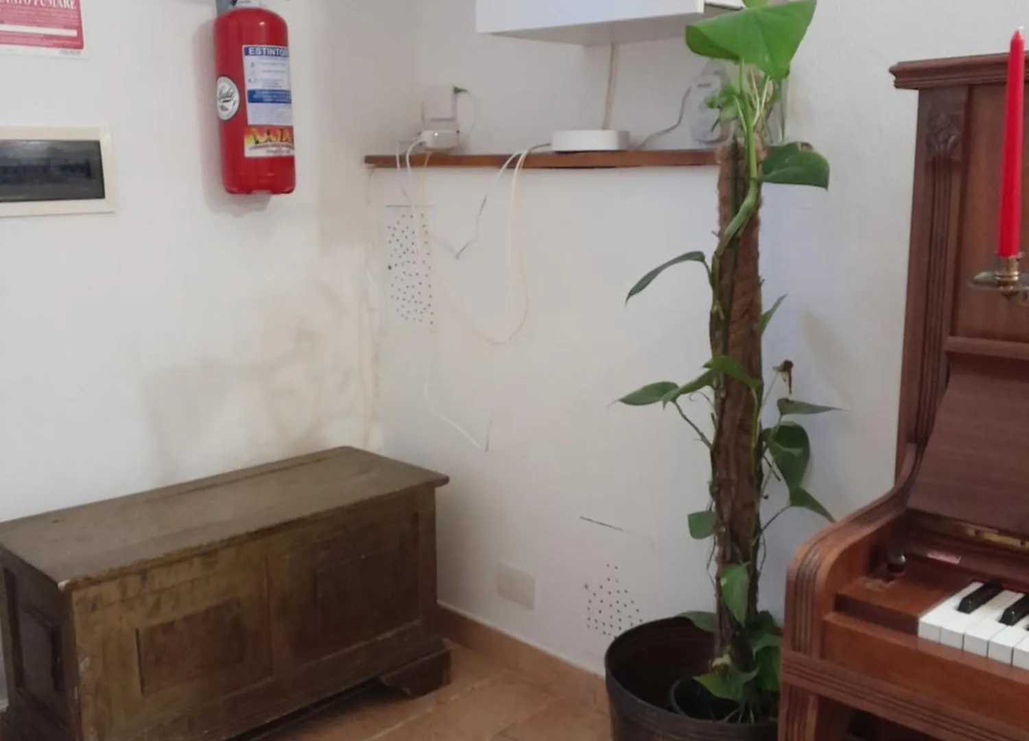 Domus Gelsomino Apartment Rome